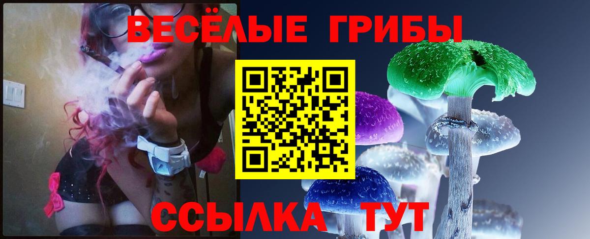 Галлюциногенные грибы Psilocybe Конаково
